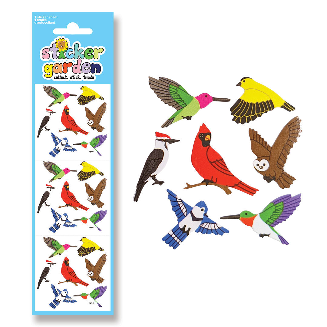Glossy Birds