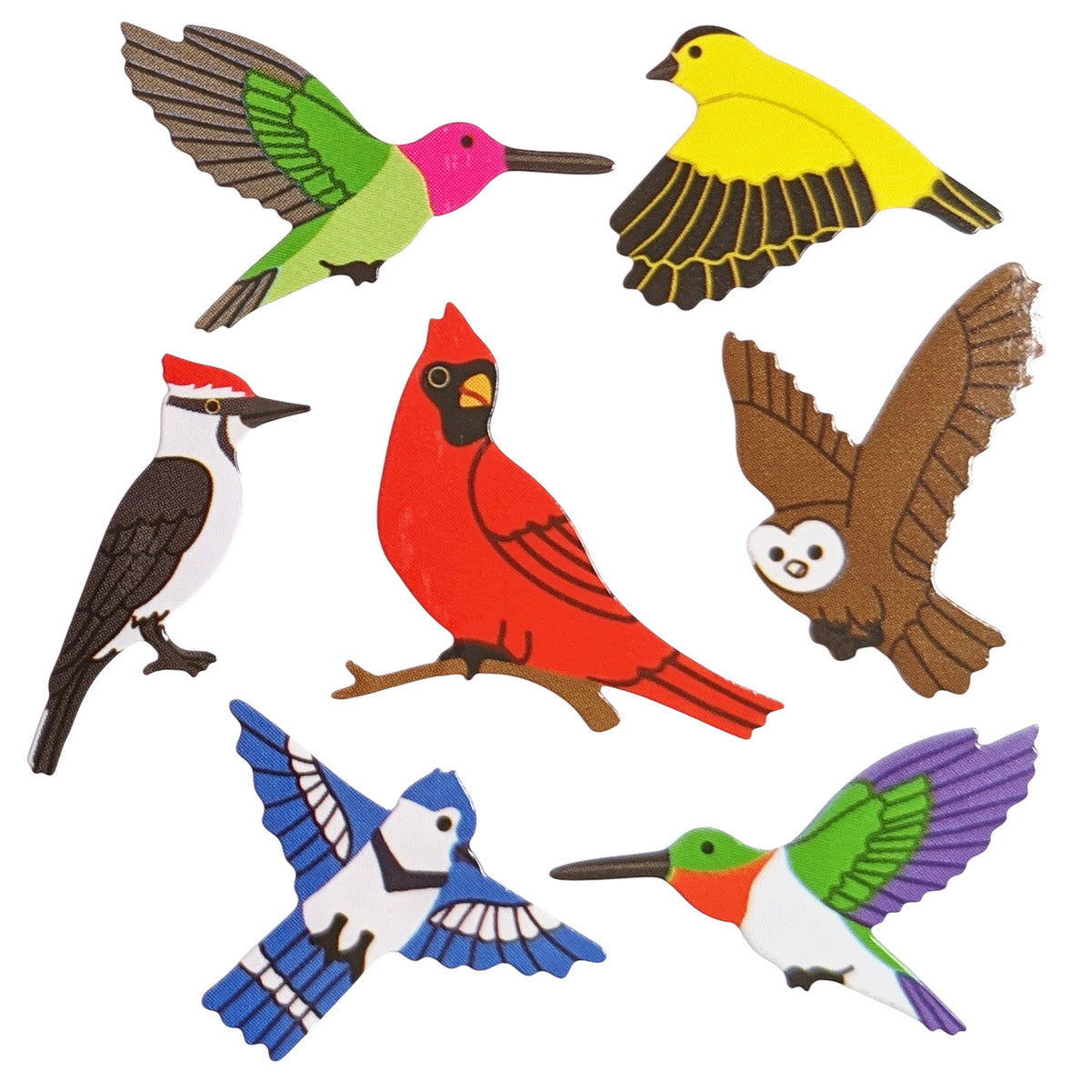 Glossy Birds
